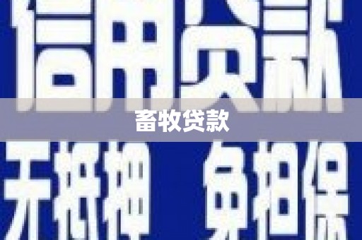 东乡族畜牧贷款