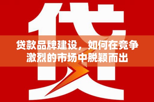 东乡族贷款品牌建设，如何在竞争激烈的市场中脱颖而出