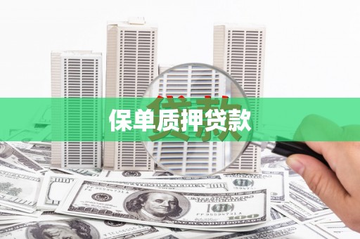 东乡族保单质押贷款
