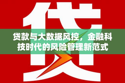 东乡族贷款与大数据风控，金融科技时代的风险管理新范式