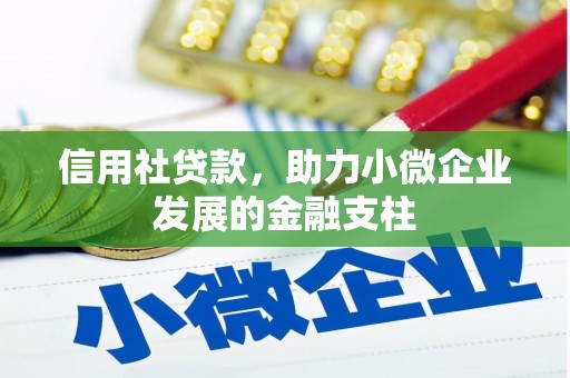 东乡族信用社贷款，助力小微企业发展的金融支柱