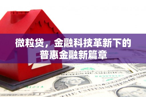 东乡族微粒贷，金融科技革新下的普惠金融新篇章