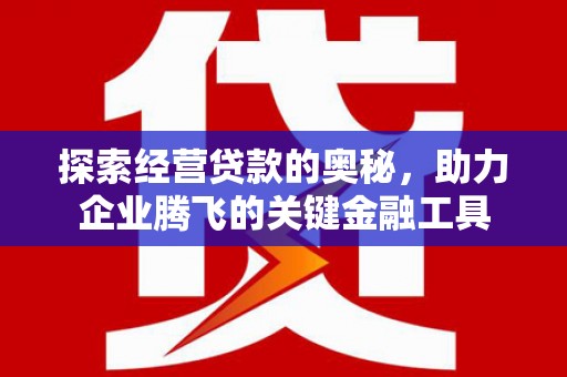 东乡族探索经营贷款的奥秘，助力企业腾飞的关键金融工具