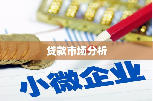东乡族贷款市场分析