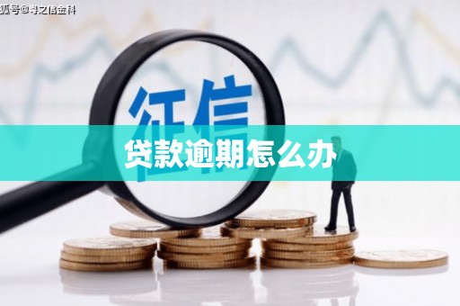 东乡族贷款逾期怎么办