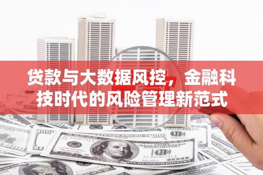 东乡族贷款与大数据风控，金融科技时代的风险管理新范式
