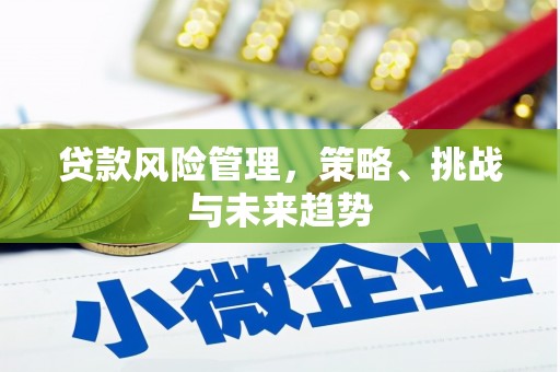 东乡族贷款风险管理，策略、挑战与未来趋势