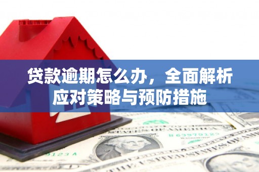 东乡族贷款逾期怎么办，全面解析应对策略与预防措施
