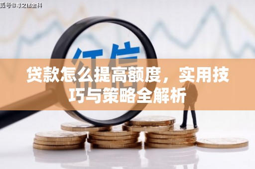 东乡族贷款怎么提高额度，实用技巧与策略全解析