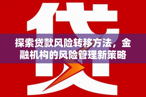 东乡族探索贷款风险转移方法，金融机构的风险管理新策略
