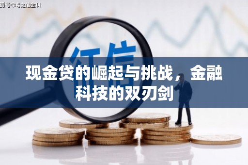 东乡族现金贷的崛起与挑战，金融科技的双刃剑