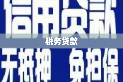东乡族税务贷款