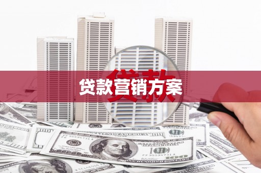 东乡族贷款营销方案