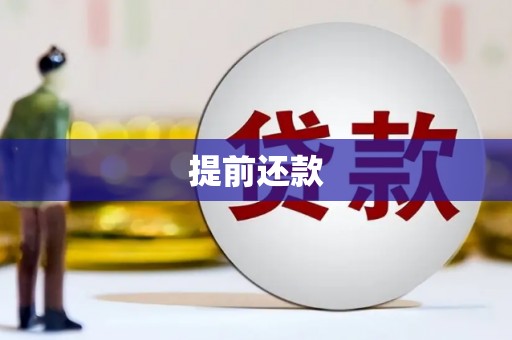 东乡族提前还款