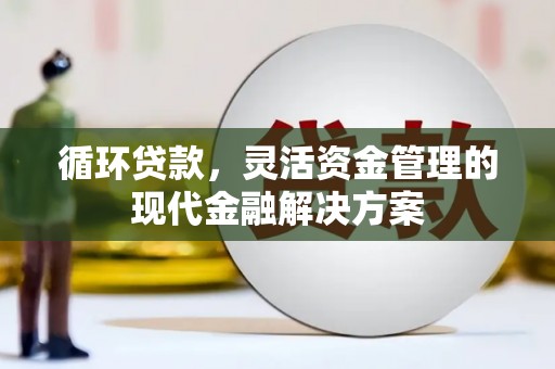 东乡族循环贷款，灵活资金管理的现代金融解决方案