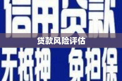 东乡族贷款风险评估