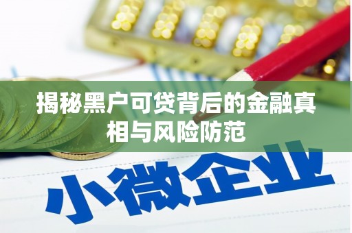 东乡族揭秘黑户可贷背后的金融真相与风险防范