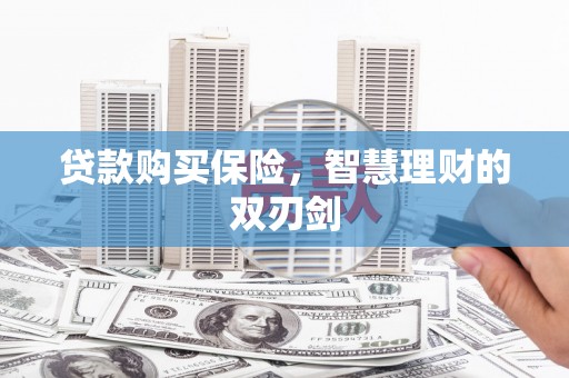 东乡族贷款购买保险，智慧理财的双刃剑
