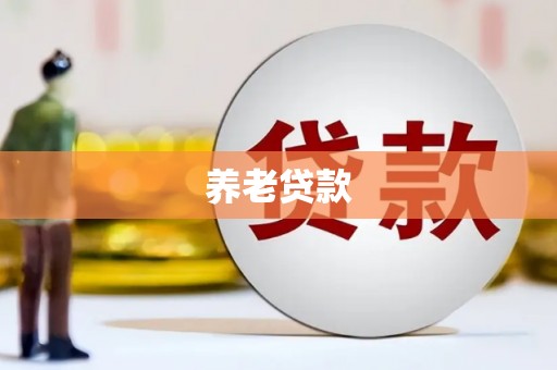 东乡族养老贷款