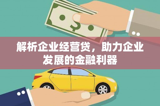 东乡族解析企业经营贷，助力企业发展的金融利器