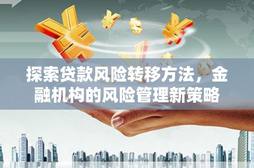 东乡族探索贷款风险转移方法，金融机构的风险管理新策略