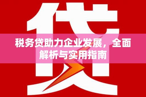 东乡族税务贷助力企业发展，全面解析与实用指南