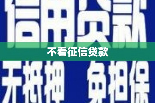 东乡族不看征信贷款