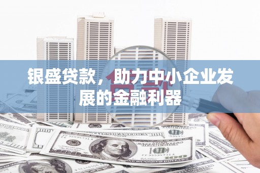 东乡族银盛贷款，助力中小企业发展的金融利器
