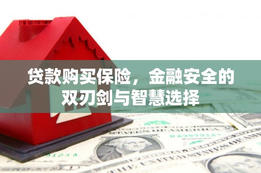 东乡族贷款购买保险，金融安全的双刃剑与智慧选择