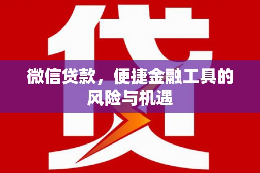 东乡族微信贷款，便捷金融工具的风险与机遇