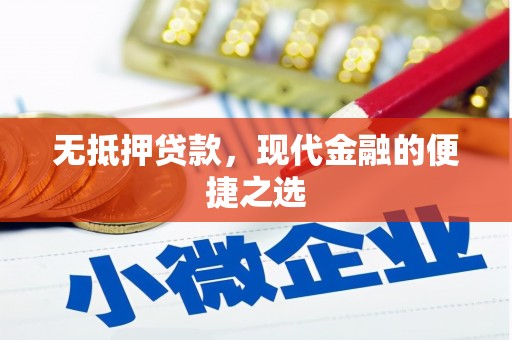 东乡族无抵押贷款，现代金融的便捷之选