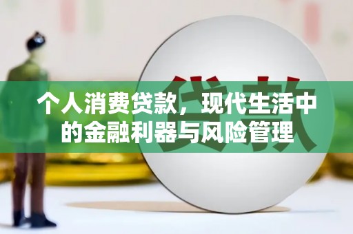 东乡族个人消费贷款，现代生活中的金融利器与风险管理