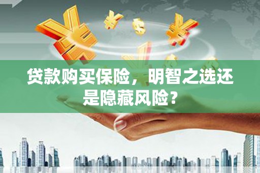 东乡族贷款购买保险，明智之选还是隐藏风险？