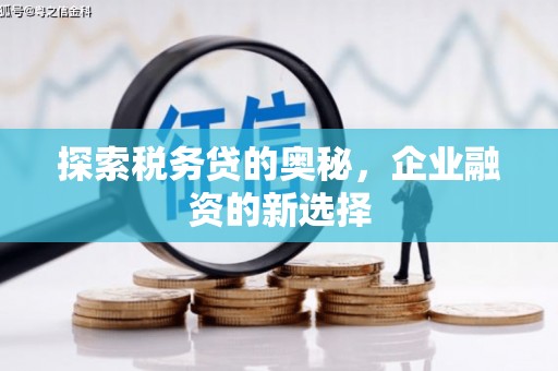 东乡族探索税务贷的奥秘，企业融资的新选择