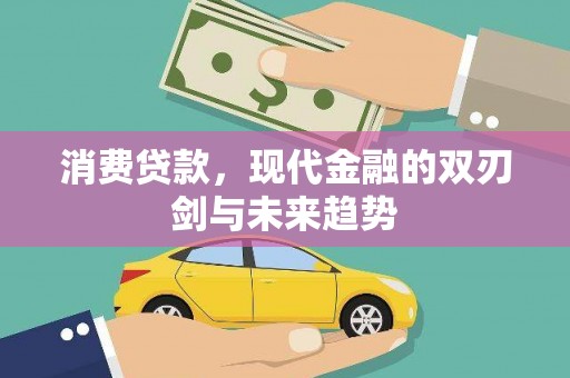 东乡族消费贷款，现代金融的双刃剑与未来趋势