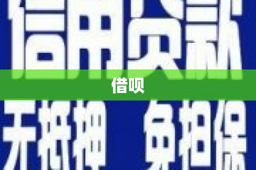 东乡族借呗