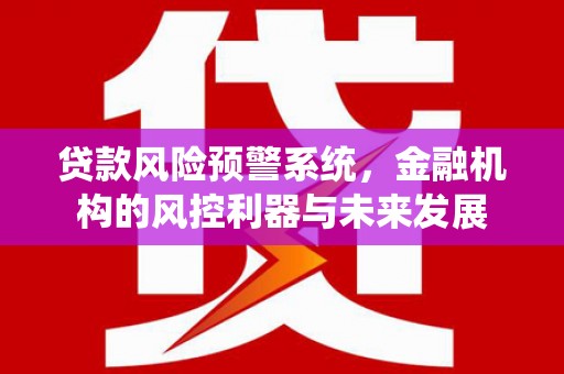 东乡族贷款风险预警系统，金融机构的风控利器与未来发展