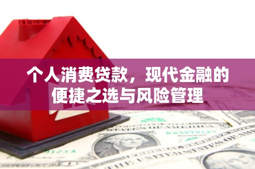 东乡族个人消费贷款，现代金融的便捷之选与风险管理