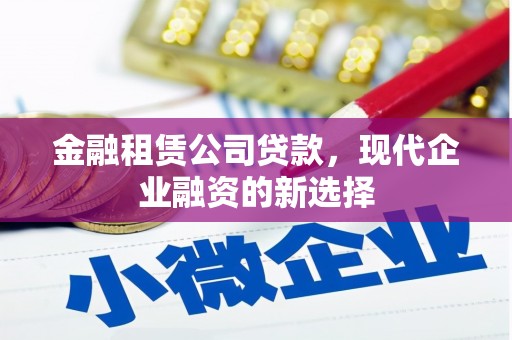 东乡族金融租赁公司贷款，现代企业融资的新选择