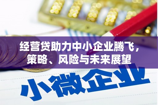 东乡族经营贷助力中小企业腾飞，策略、风险与未来展望