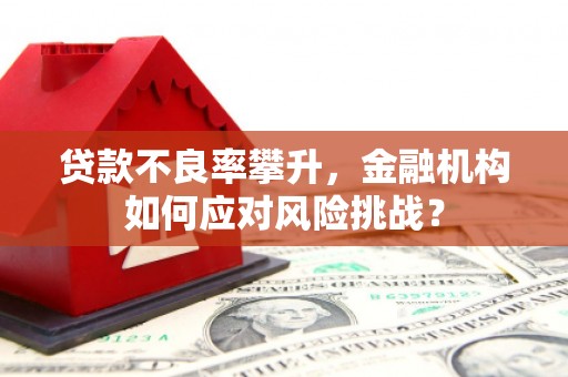 东乡族贷款不良率攀升，金融机构如何应对风险挑战？