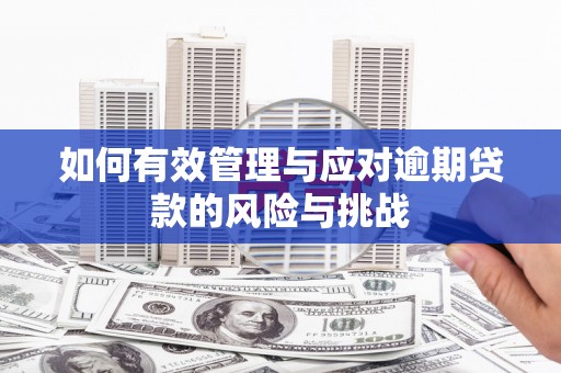 东乡族如何有效管理与应对逾期贷款的风险与挑战