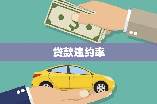 东乡族贷款违约率