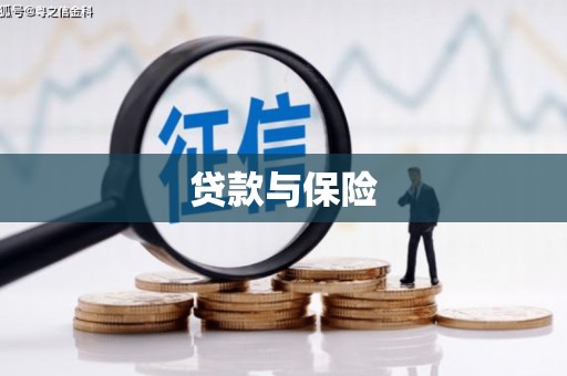 东乡族贷款与保险