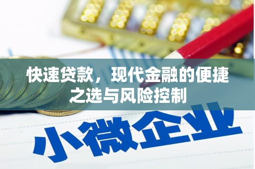 东乡族快速贷款，现代金融的便捷之选与风险控制