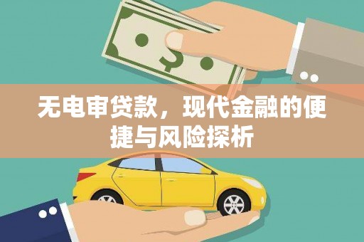 东乡族无电审贷款，现代金融的便捷与风险探析