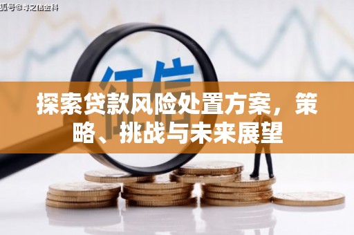 东乡族探索贷款风险处置方案，策略、挑战与未来展望
