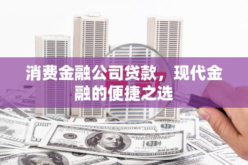 东乡族消费金融公司贷款，现代金融的便捷之选