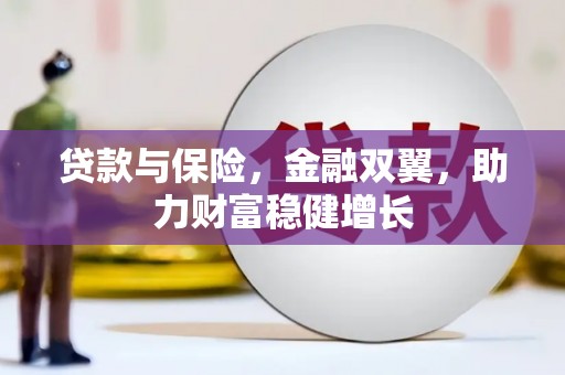 东乡族贷款与保险，金融双翼，助力财富稳健增长