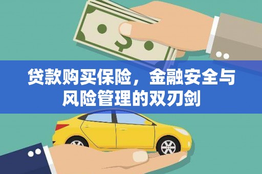 东乡族贷款购买保险，金融安全与风险管理的双刃剑
